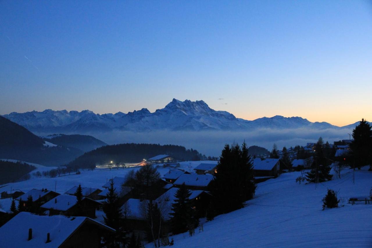 La Petite Silene Apartment Leysin Bagian luar foto