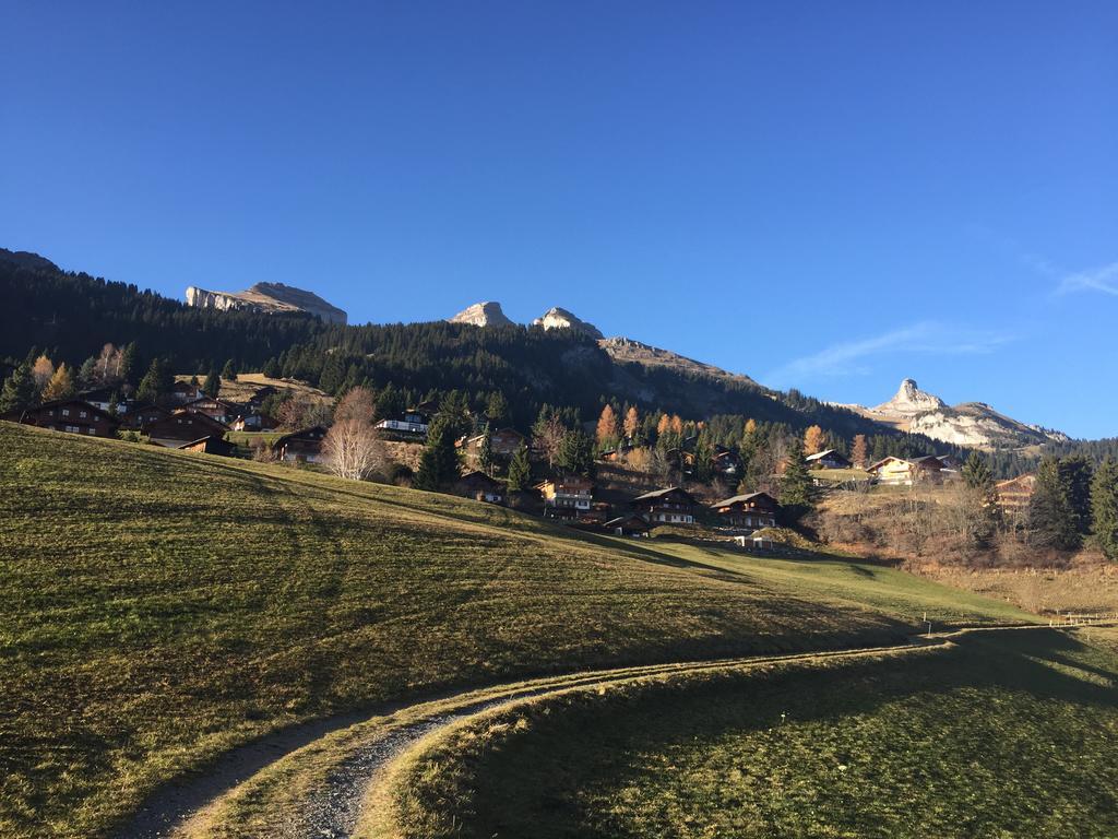 La Petite Silene Apartment Leysin Ruang foto