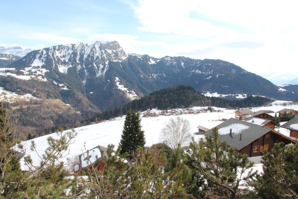 La Petite Silene Apartment Leysin Bagian luar foto