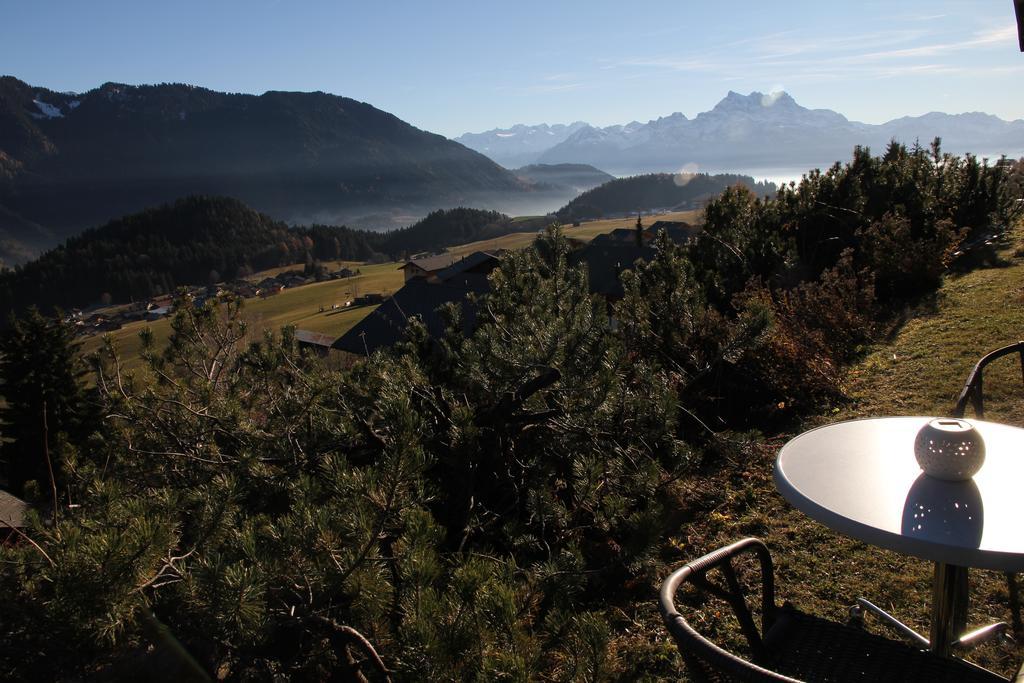 La Petite Silene Apartment Leysin Bagian luar foto
