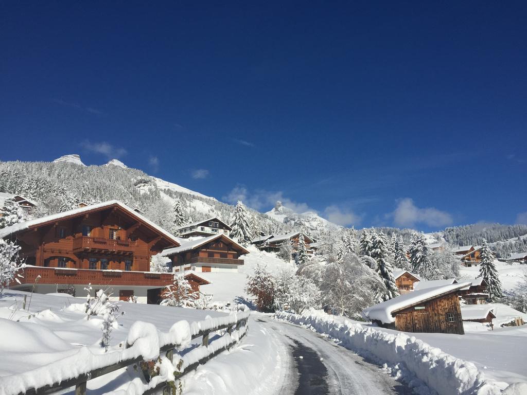 La Petite Silene Apartment Leysin Bagian luar foto